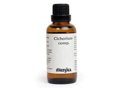 Cichorium comp.