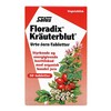 Floradix Kräuterblut Urtejern tabletter